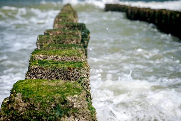 Close up pali da spiaggia spruzzati dall'acqua sulla costa del mare — Foto Stock