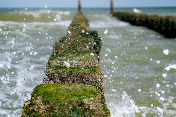 Close up pali da spiaggia spruzzati dall'acqua sulla costa del mare — Foto Stock