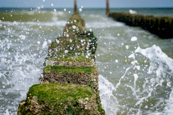 Close up pali da spiaggia spruzzati dall'acqua sulla costa del mare — Foto Stock