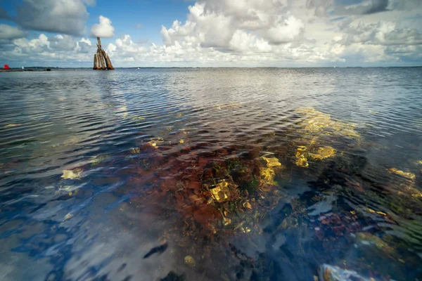 Jasně zbarvené skály a zelené podmořské řasy — Stock fotografie