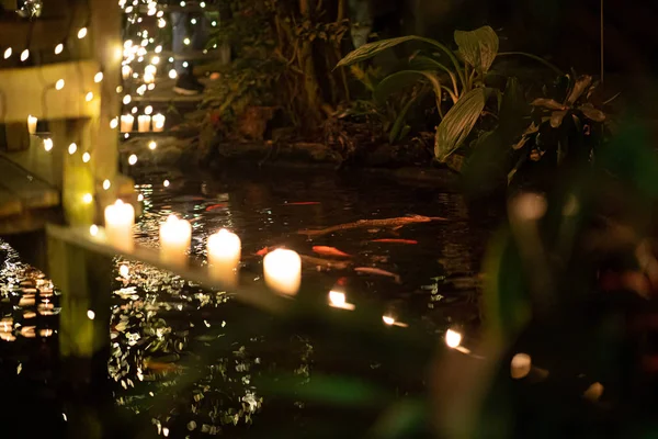 Atractivo jardín tropical verde iluminado con velas y luces — Foto de Stock