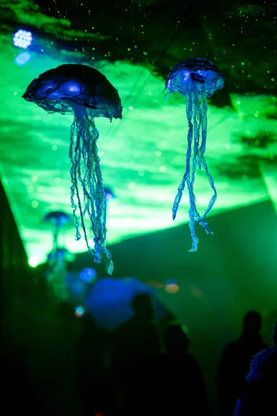 Festival de rua ao ar livre com luz laser durante a chuva — Fotografia de Stock