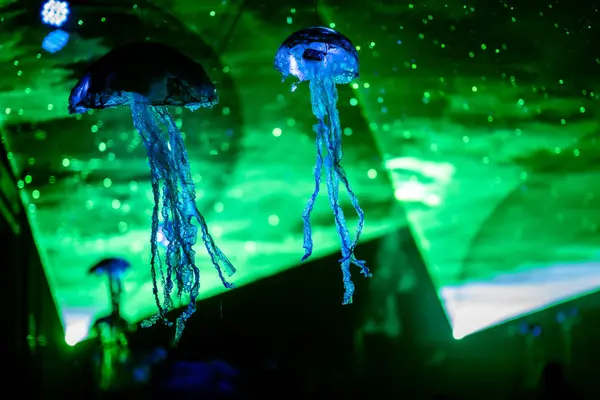 Festival callejero al aire libre con luz láser durante la lluvia — Foto de Stock