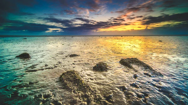 野生の天使の眺めとカラフルな雲と日没の間にオランダのワッデン海の飲み込み — ストック写真