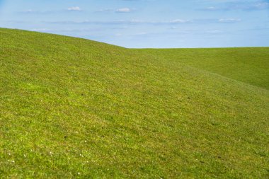 Mavi gökyüzü ve beyaz kabarık bulutların arka planında çayırları olan bir çayır. Hollanda topraklarında mavi gökyüzüne karşı sert bir geçişi olan taze yeşil çimenli bahar tarlası