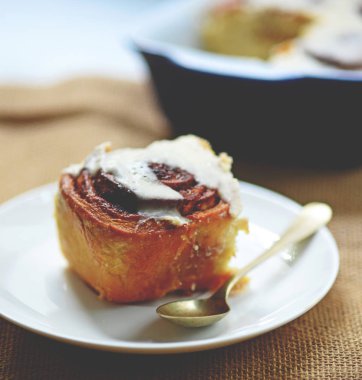 Taze cinnamom tabak portre üzerinde rulo