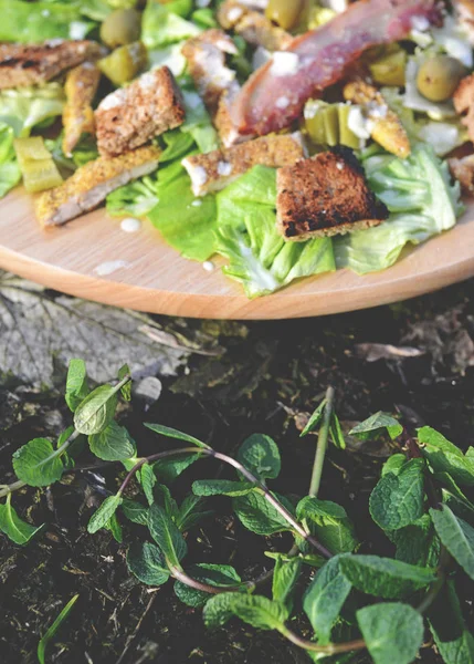 Ensalada fresca de Ceaser con hierba de menta Fotos De Stock Sin Royalties Gratis