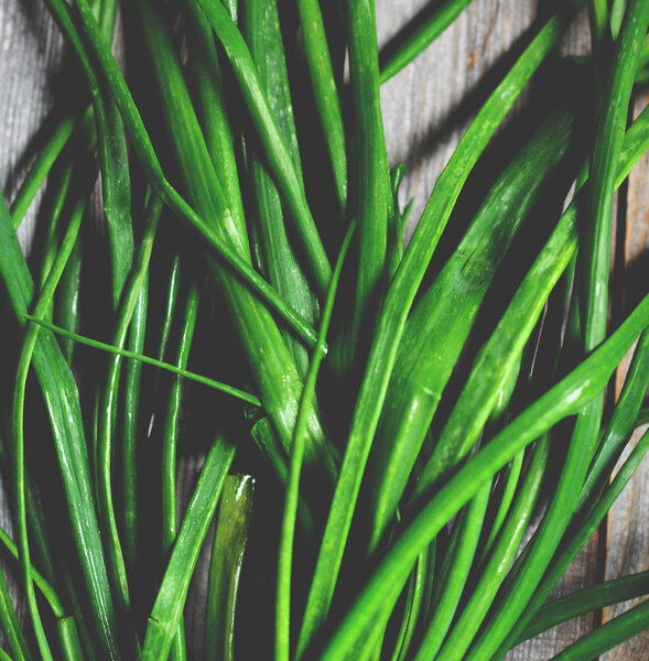 Fresh spring onion closeup