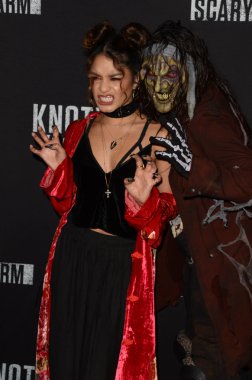 Aktris Vanessa Hudgens