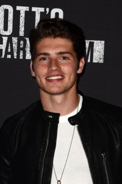 aktör Gregg Sulkin