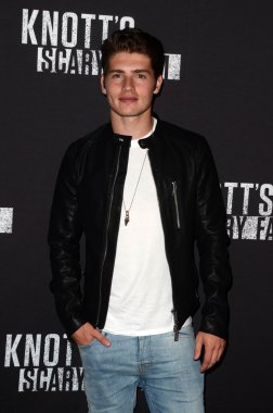 aktör Gregg Sulkin