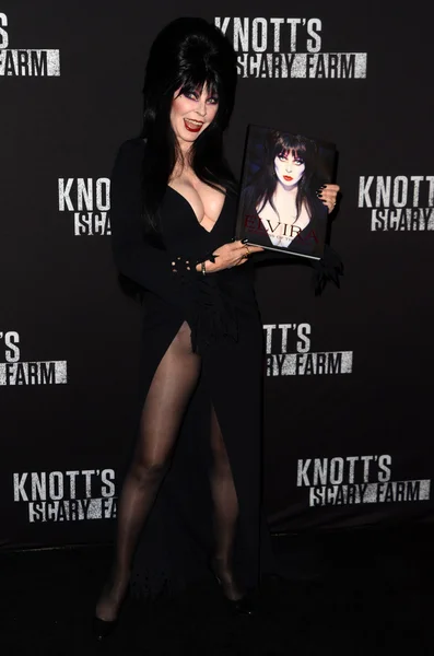 Elvira Scary το 2016 Knott εκμετάλλευση του μαύρο χαλί εκδήλωση — Φωτογραφία Αρχείου