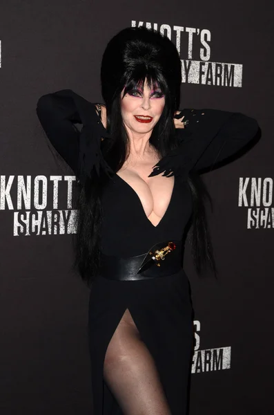 Elvira à l "événement Black Carpet 2016 de Knott's Scary Farm — Photo