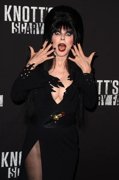 Elvira w 2016 Knott's Scary Farm czarny dywan zdarzenia — Zdjęcie stockowe