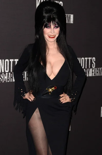 Elvira en el evento de alfombra negra de Knott 's Scary Farm 2016 —  Fotos de Stock