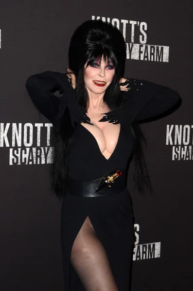 Elvira auf dem Black-Carpet-Event von knott 's scary farm 2016 — Stockfoto