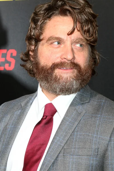 Acteur Zach Galifianakis — Stockfoto