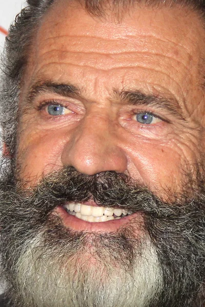 Acteur Mel Gibson — Photo