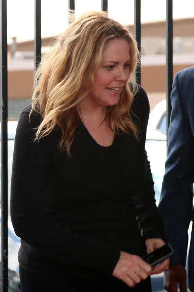 Skådespelerskan Mary Mccormack — Stockfoto