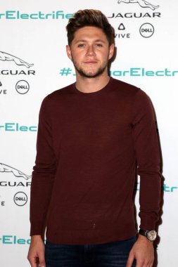 şarkıcı Niall Horan