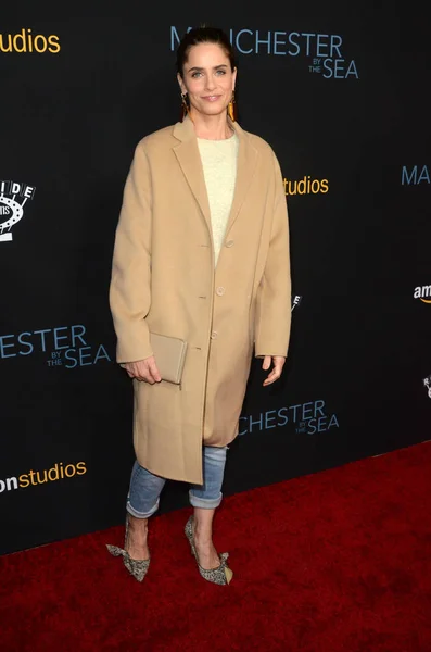 Actress Amanda Peet — Stock Photo, Image
