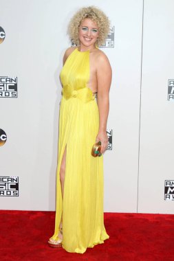 Cam 2016 Amerikan Müzik Ödülleri