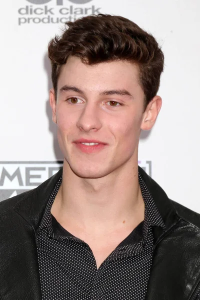 Zanger Shawn Mendes — Stockfoto