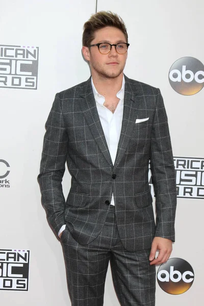 şarkıcı Niall Horan