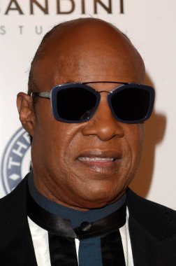 şarkıcı Stevie Wonder