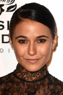 aktris emmanuelle chriqui