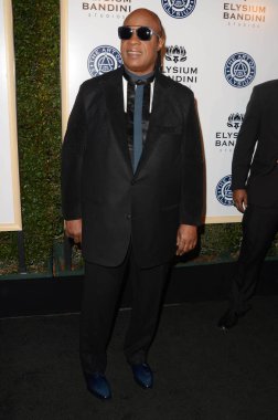 şarkıcı Stevie Wonder