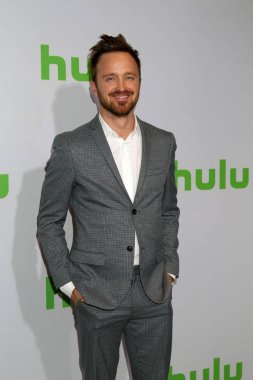 Aktör Aaron Paul