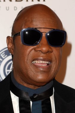 şarkıcı Stevie Wonder