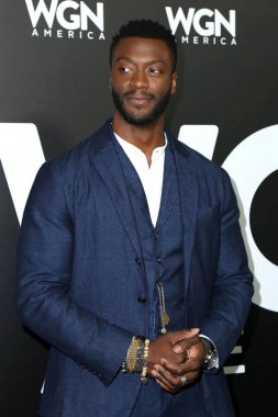 aktör Aldis Hodge