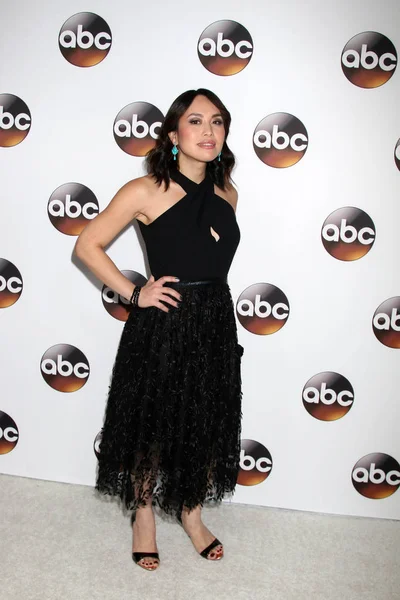 aktris Fildişi aybek