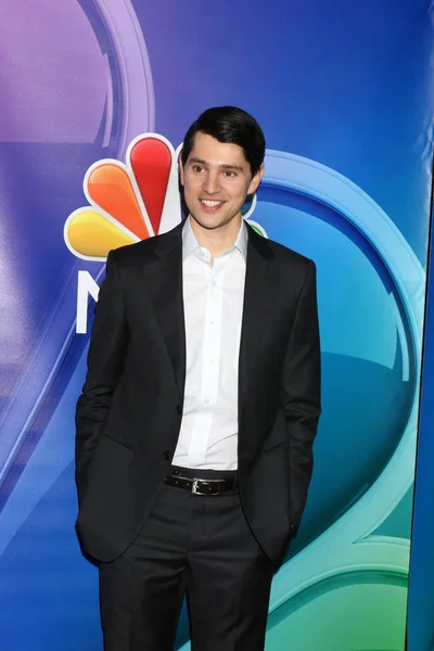 Actor Nicholas D'Agosto — Stock Photo, Image