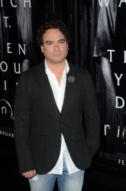 Aktör Johnny Galecki