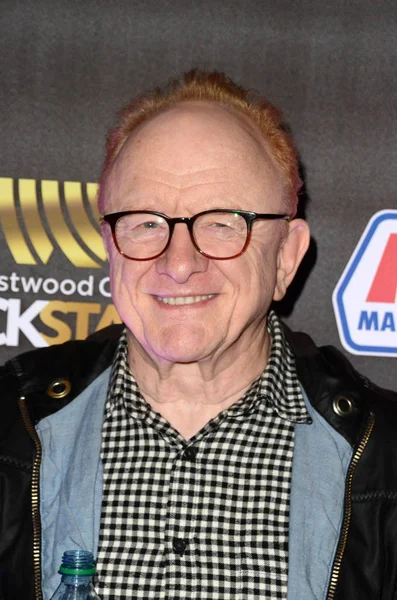 Gitarristen Peter Asher — Stockfoto