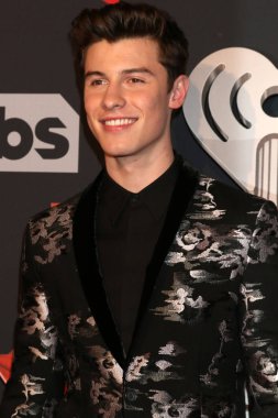 şarkıcı Shawn Mendes