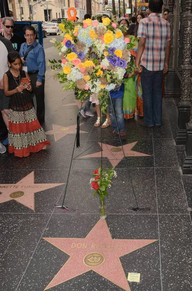 Звезда Дона Риклза Голливудской Аллее Славы Голливуд Калифорния — стоковое фото