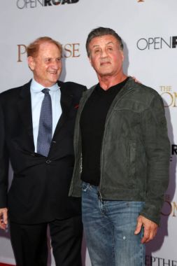 aktör Sylvester Stalllone