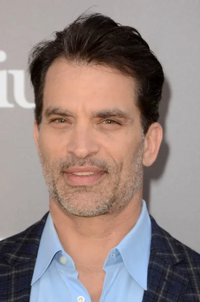 Acteur Johnathon Schaech — Stockfoto