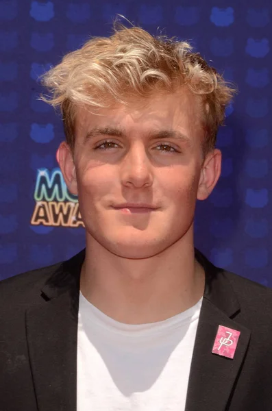 Acteur Jake Paul — Stockfoto