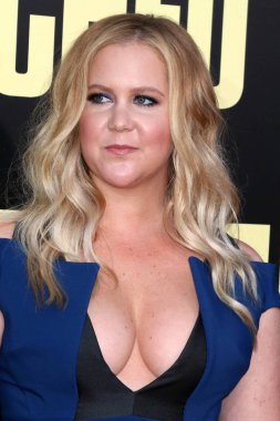 aktris Amy Schumer