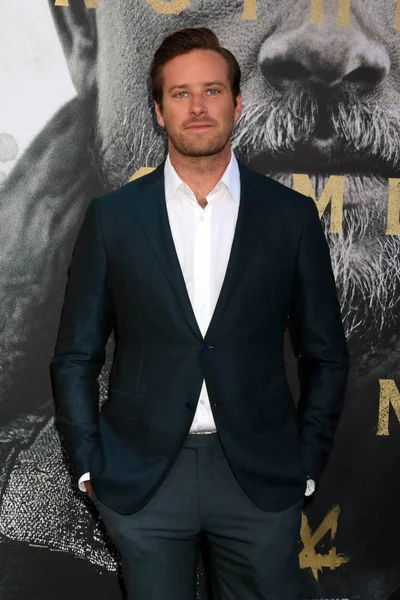 Skådespelaren Armie Hammer — Stockfoto