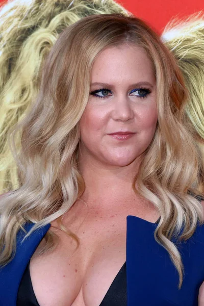 Aktorka Amy Schumer — Zdjęcie stockowe