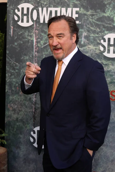 Skådespelare Jim Belushi — Stockfoto