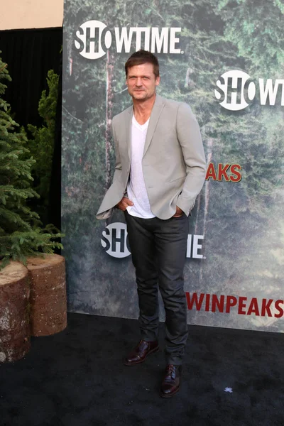 Skådespelaren Bailey Chase — Stockfoto