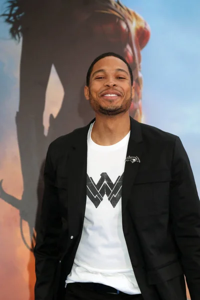 Acteur Ray Fisher — Photo