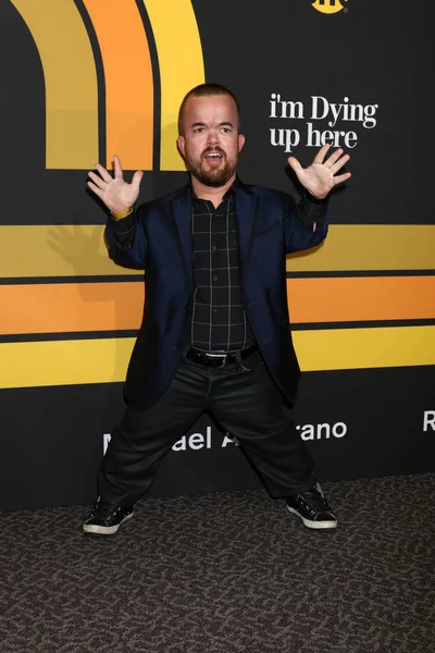 Színész: Brad Williams — Stock Fotó